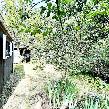 Harmonie - Agreable Maison Situee Dans Un Ecrin De Verdure La Tremblade Bagian luar foto